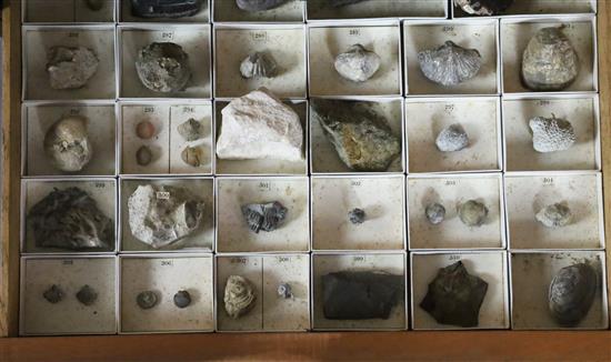 A collection of minerals, rocks and fossils by James Tennant of London, 1869, cabinet width 15in. depth 11.5in. height 16in.